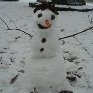 frauke_hempel avatar