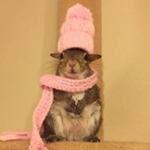 scoobygoobydoooo avatar