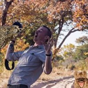 just_an_ambulance avatar