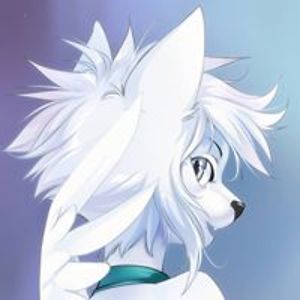 askar_ibragimov avatar