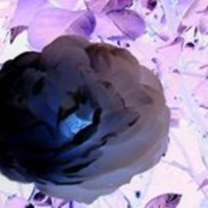 dysnomia_pendragon avatar