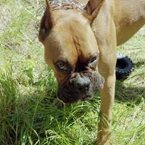 cindylouwho1209 avatar