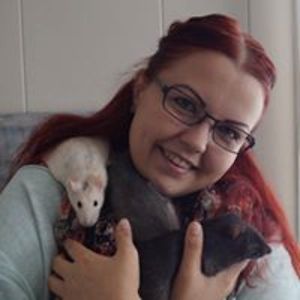 sara_syversen avatar