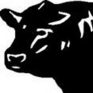 shahbazhussain avatar