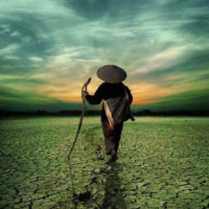 armaankuyumcu avatar