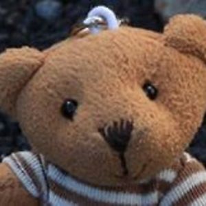 misio_paskownik avatar