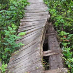 smallstepstosustainabilty avatar