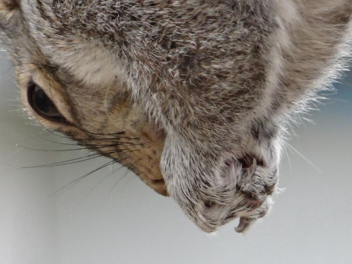 I'm Ready For My Close-up Mr. Demille.