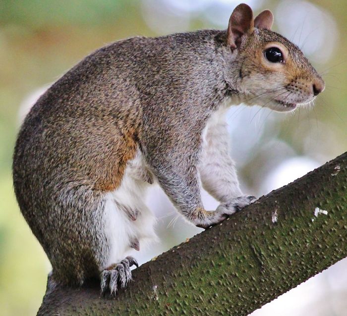 Ooooooft!! Motherhood Is Draining.