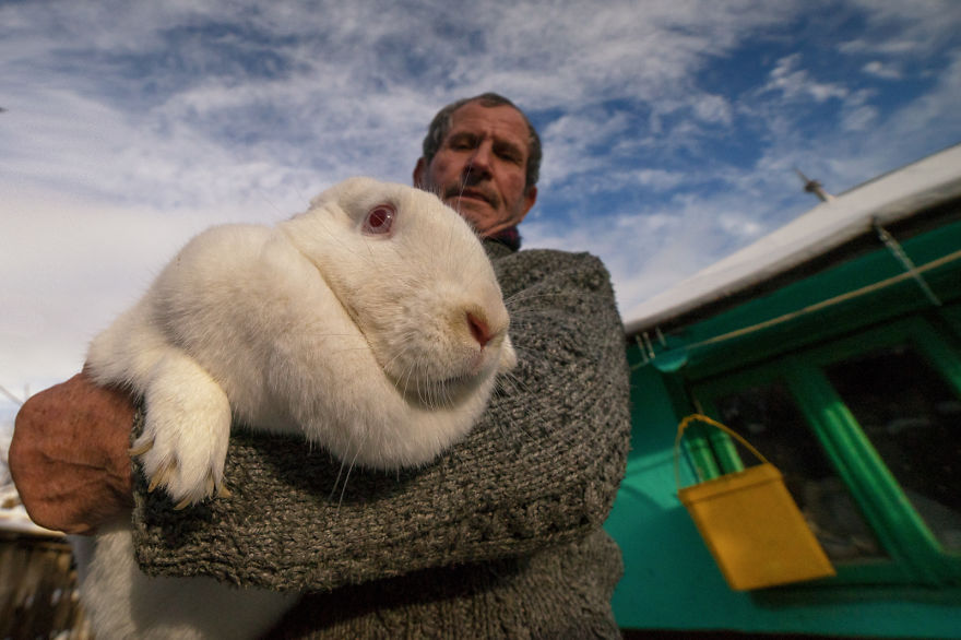 A Glimpse Of The Romanian Winter, Like In The Old Days