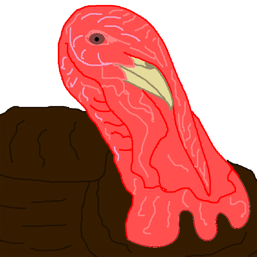 Tom Turkey's Wattle (i Was Going To Make It A Rooster's Comb, But I'd Have Had To Rotate It)