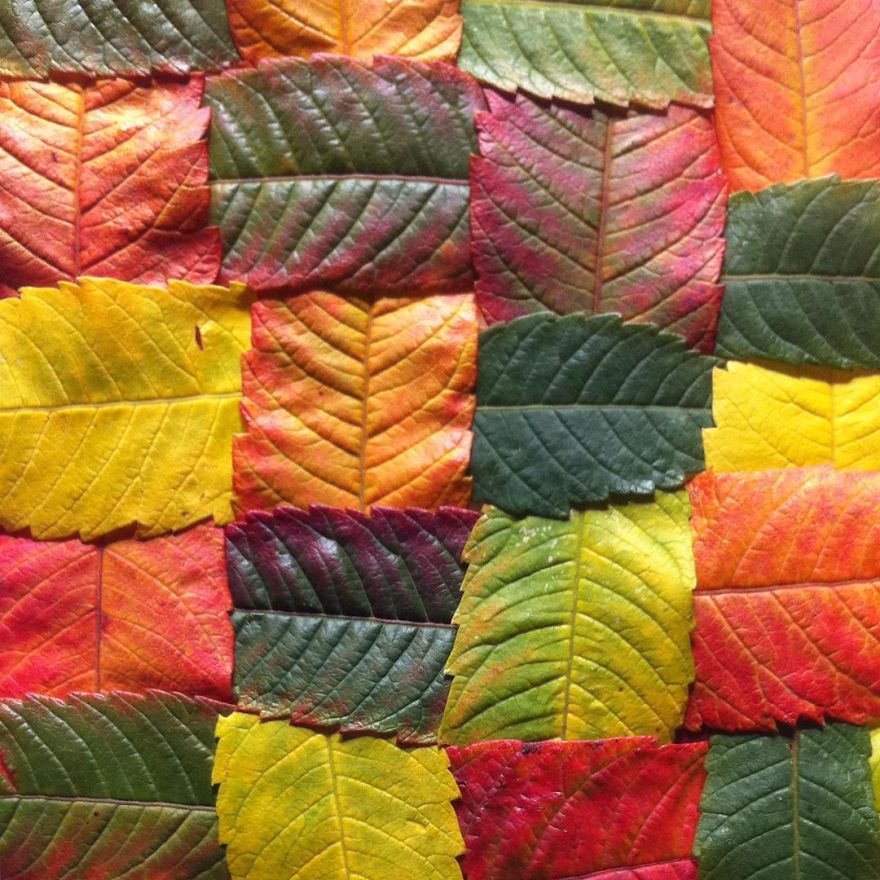 Everyday Objects Laying Around My House Turned Into Art