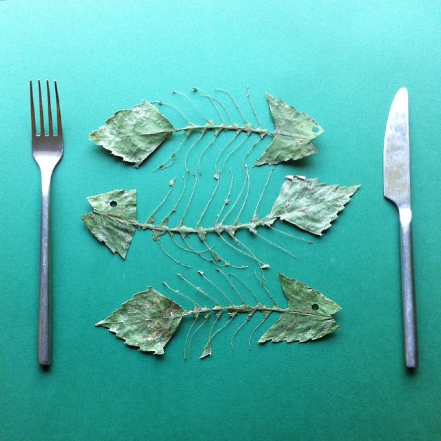 Everyday Objects Laying Around My House Turned Into Art