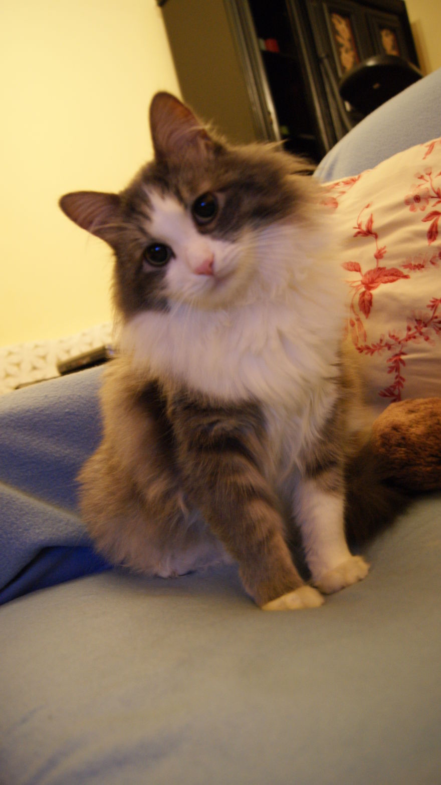 Mr. Gray Strikes The Pose