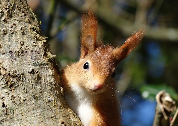 Here's Looking At You!