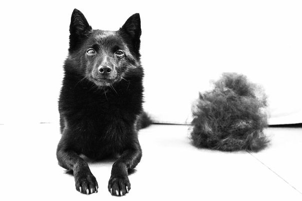 Kumani – And What Lay Beneath