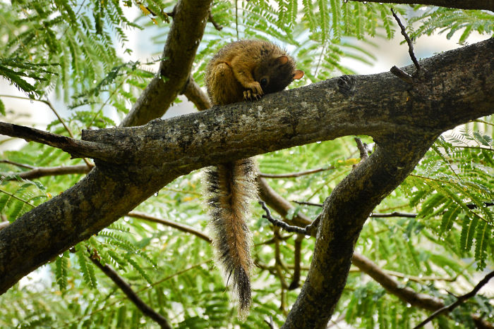 Hiding From The Rain