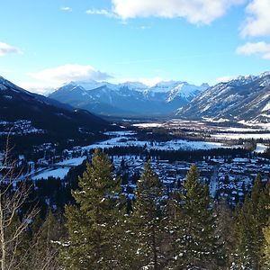 cecilia_runer_se avatar