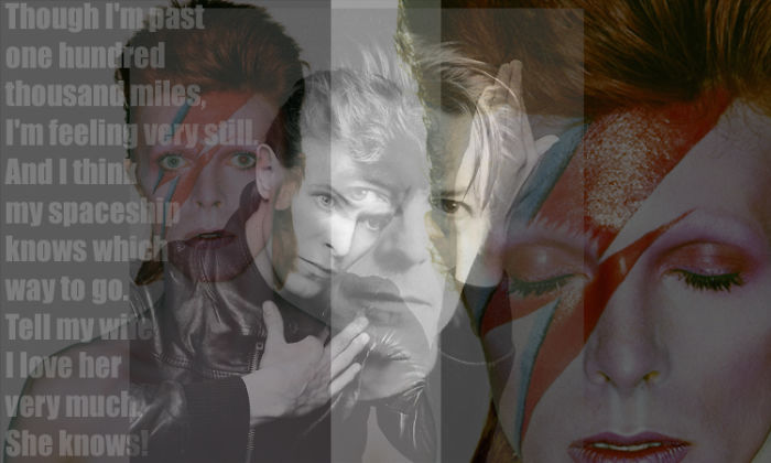 Rest Well Mr, Bowie
