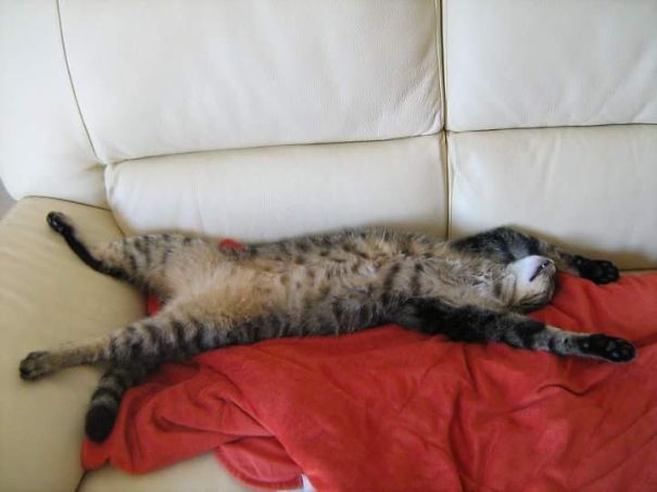 Siesta In The Afternoon