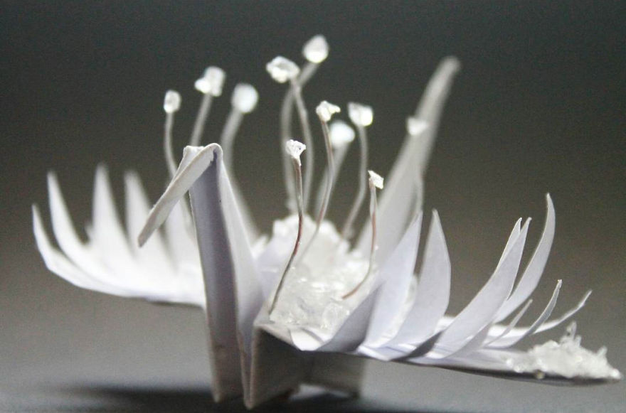 Origami Crane