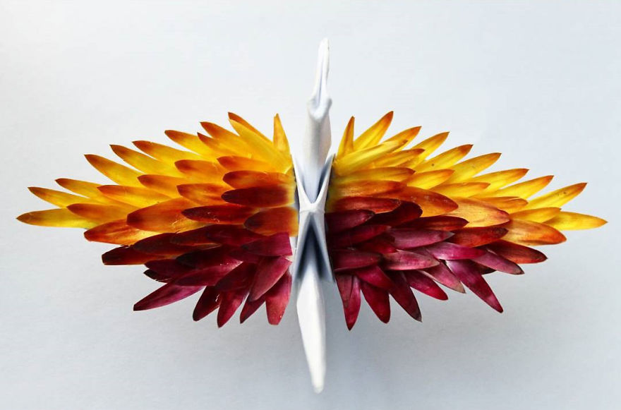 Origami Crane