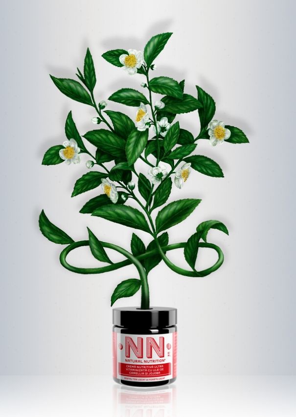 My Colored Pencil Drawings Of Plants My Colored Pencil Drawings Of Plants