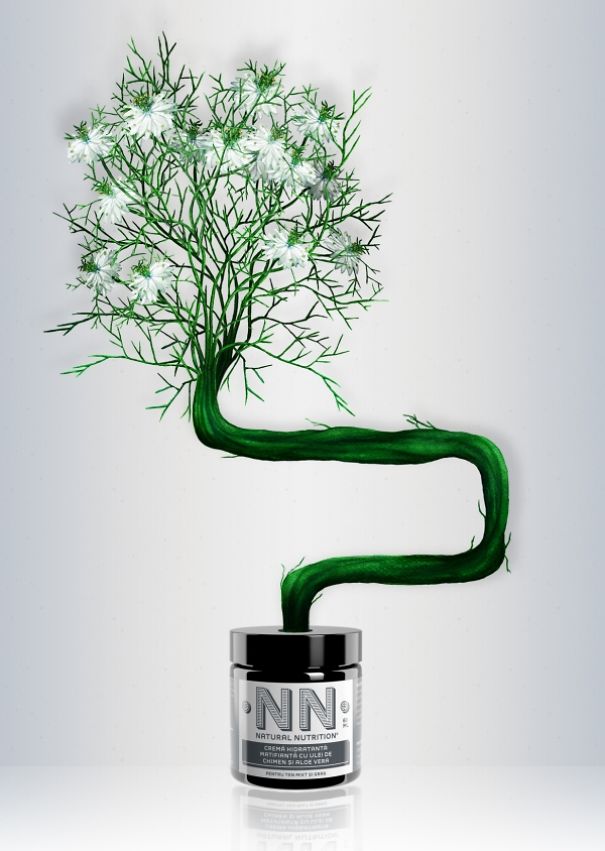 My Colored Pencil Drawings Of Plants My Colored Pencil Drawings Of Plants