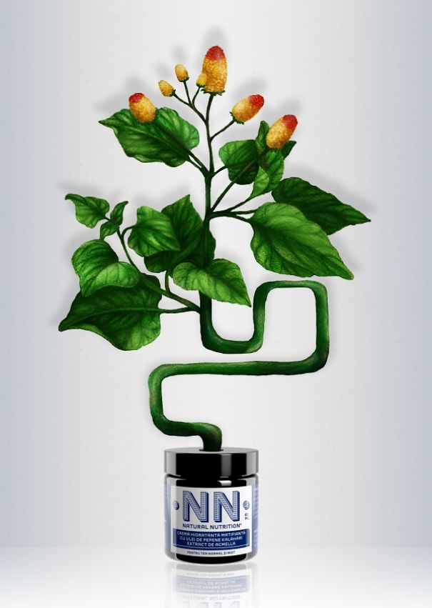 My Colored Pencil Drawings Of Plants