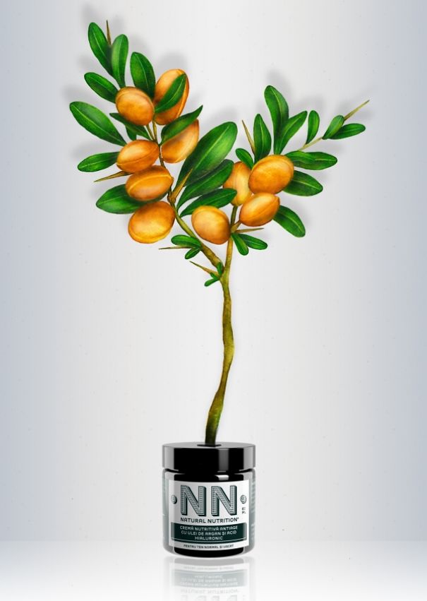 My Colored Pencil Drawings Of Plants My Colored Pencil Drawings Of Plants