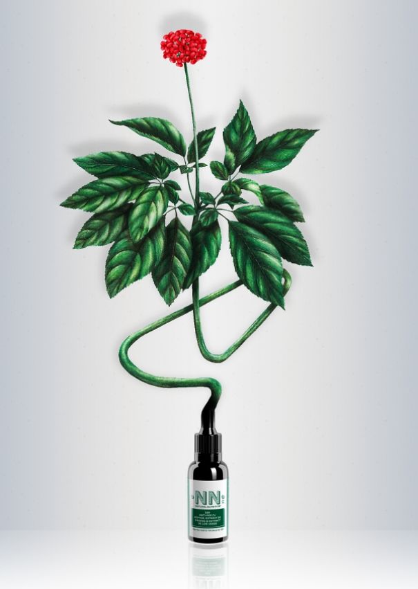 My Colored Pencil Drawings Of Plants My Colored Pencil Drawings Of Plants