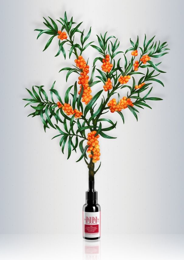 My Colored Pencil Drawings Of Plants My Colored Pencil Drawings Of Plants