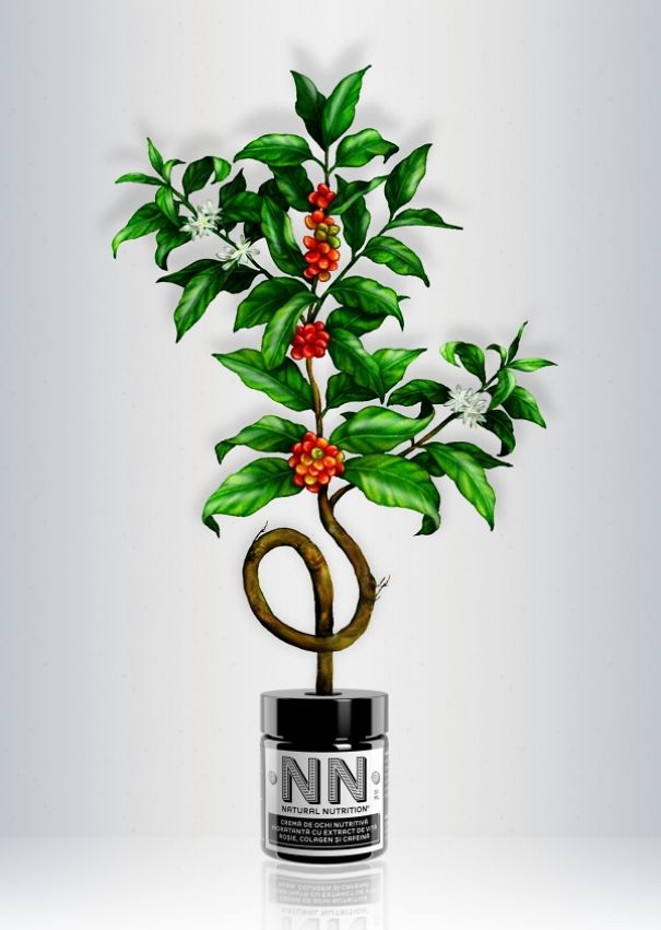 My Colored Pencil Drawings Of Plants My Colored Pencil Drawings Of Plants