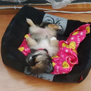 kimberlymoonasamy avatar