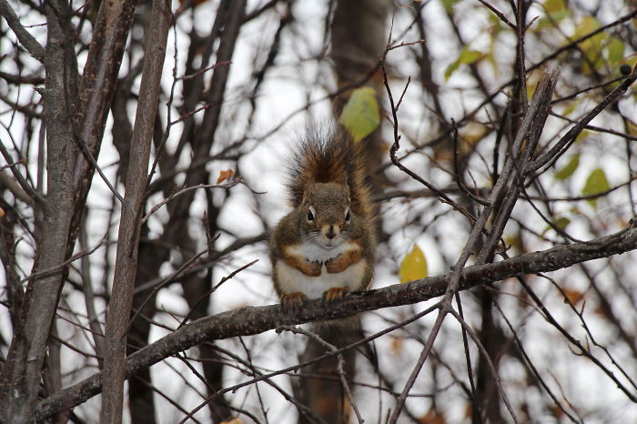 Excuse Me.....my Feeder Is Empty