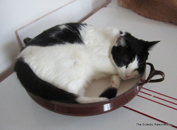 This Paella Pan Looks Comfy....