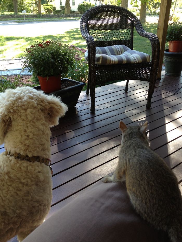 What Do You Want To Do Today?