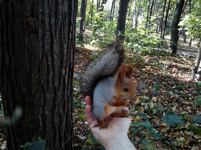 Sometimes It Comes Handy