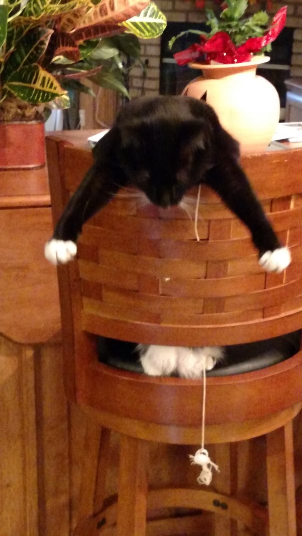 Favorite Sleeping Position