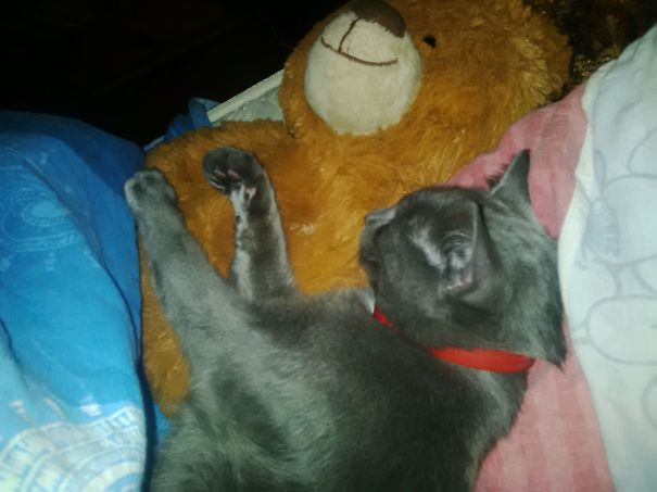 Pia And Hers Teddy Bear :3
