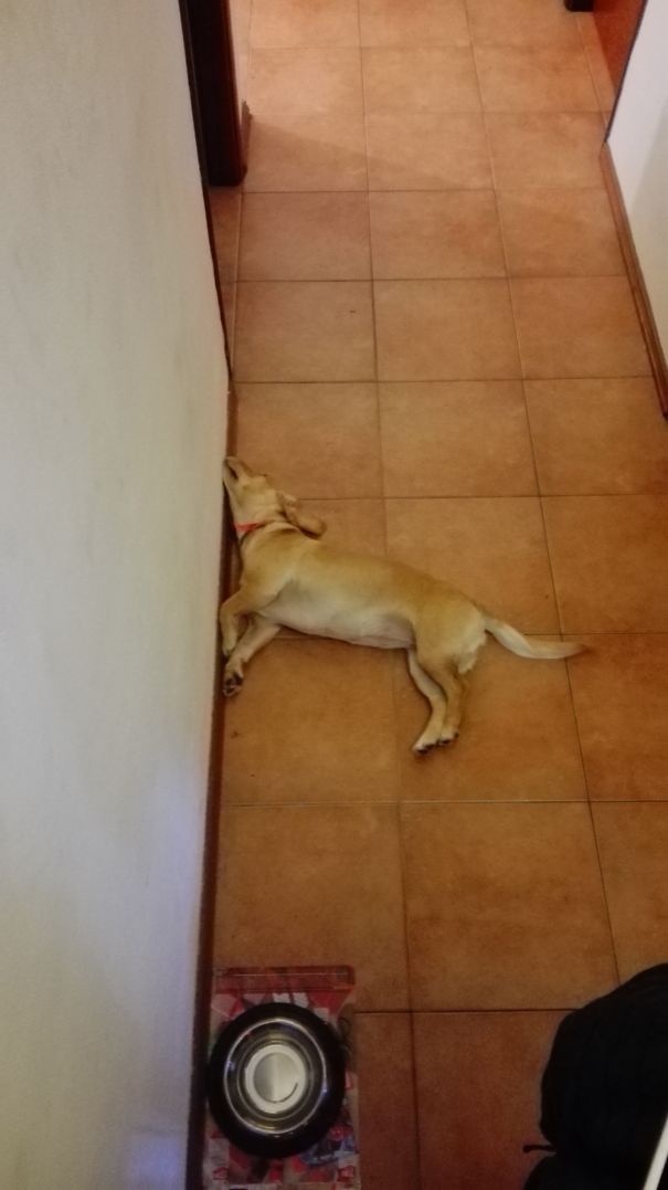 She Was Taking A Fresh Nap