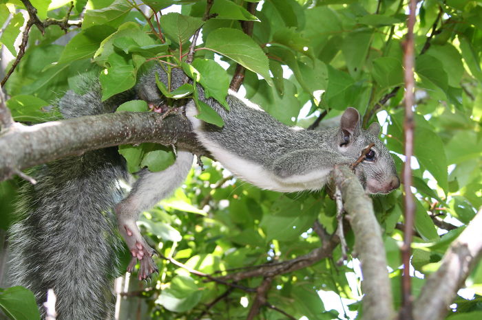 Chillin' On A Hot Day