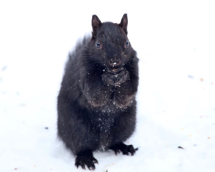 My Treat Don't Touch!! It's Sure Cold Out Here!