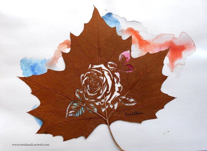 My Newest Delicate Leaf-Cuttings