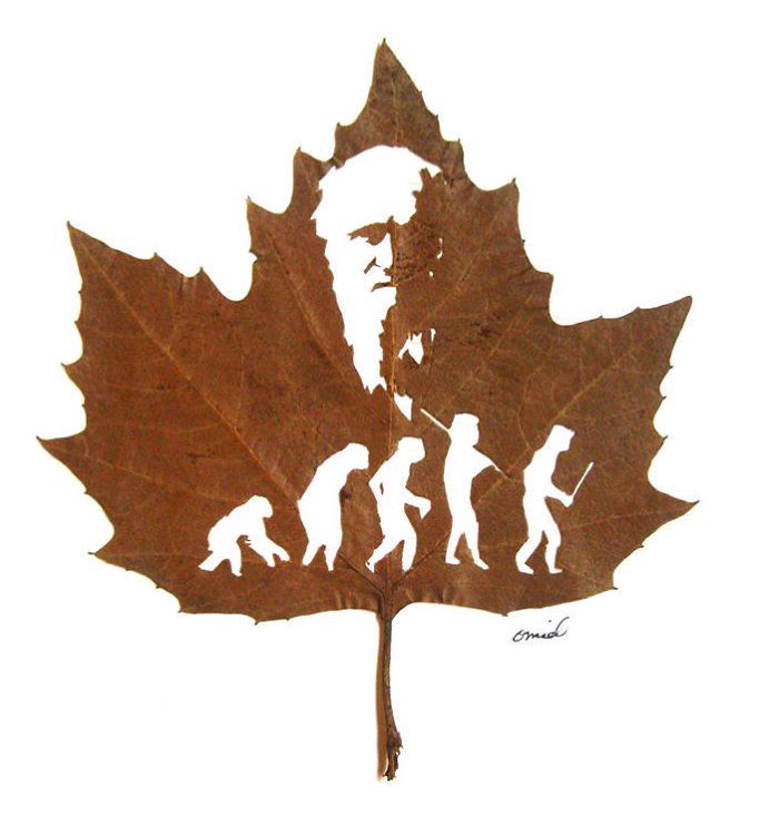 My Newest Delicate Leaf-Cuttings