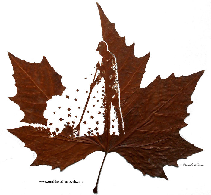 My Newest Delicate Leaf-Cuttings