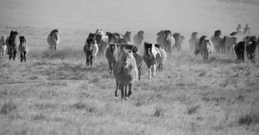 Mongolia Is Said To Be A Nation Born On A Horseback Mongolia Is Said To Be A Nation Born On A Horseback