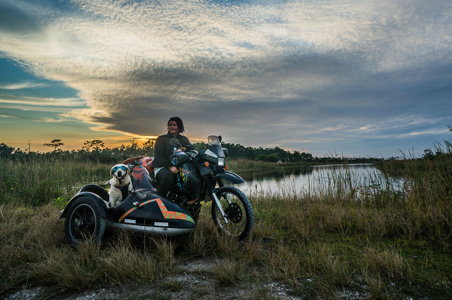 Motorcycle Dog Celebrates 11th Birthday On The Road! Motorcycle Dog Celebrates 11th Birthday On The Road!