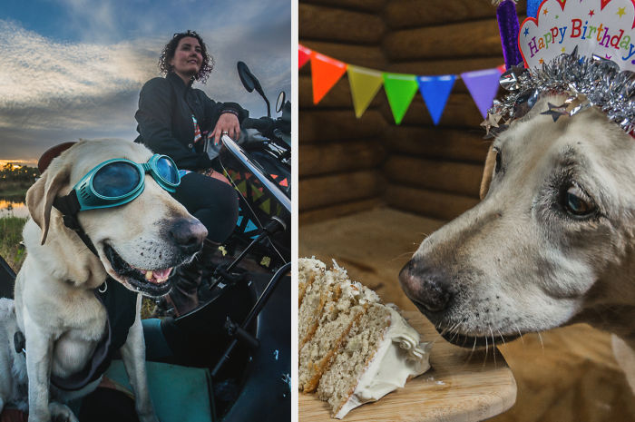 Motorcycle Dog Celebrates 11th Birthday On The Road!