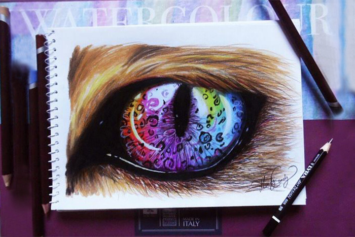 My Drawings Are My Life My Drawings Are My Life